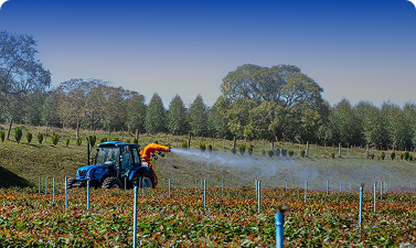 AGROINDUSTRIA