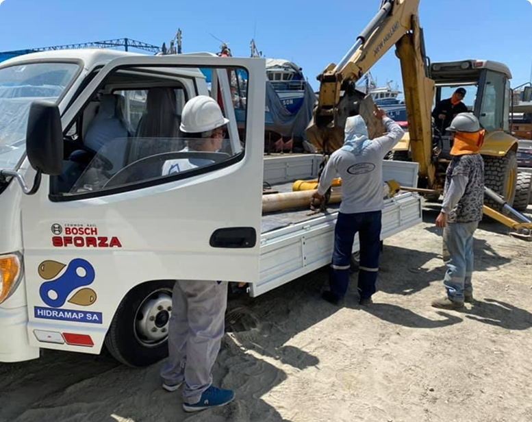 Servicios de campo